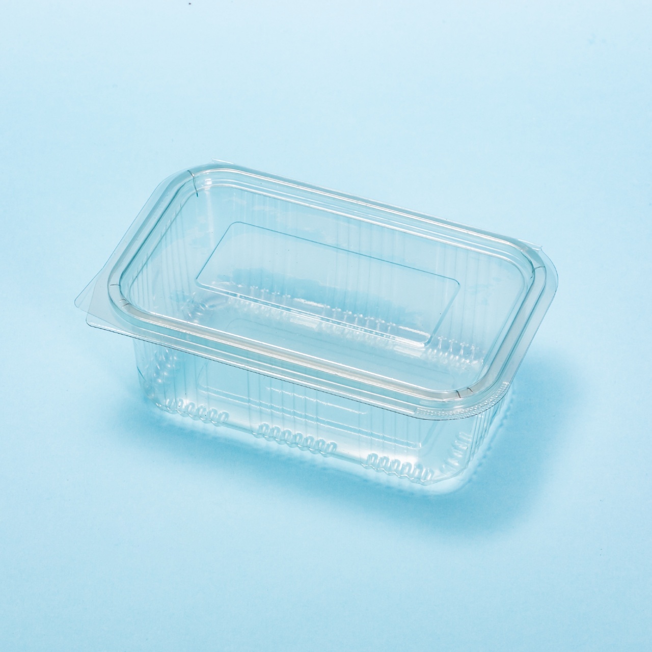 Caserolă din plastic 1000 g