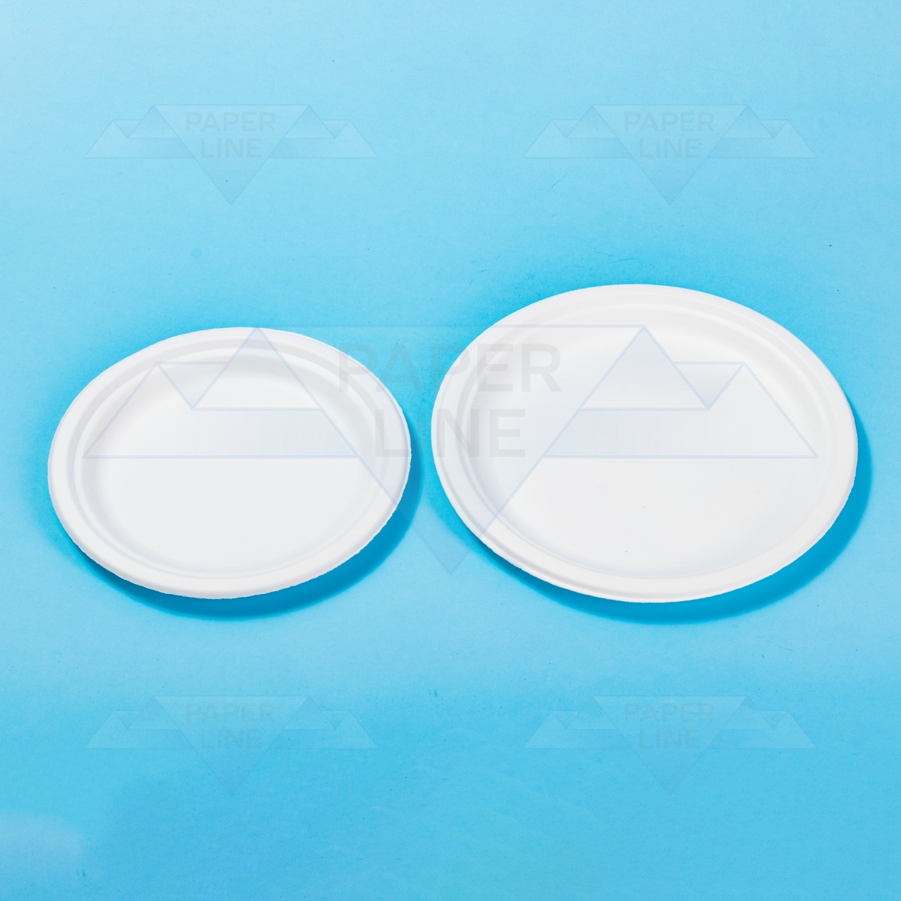 Farfurie din carton alb, rotund