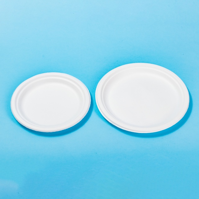 Farfurie din carton alb, rotund