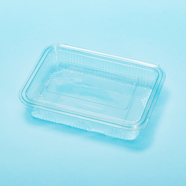 Caserolă din plastic 1250 g