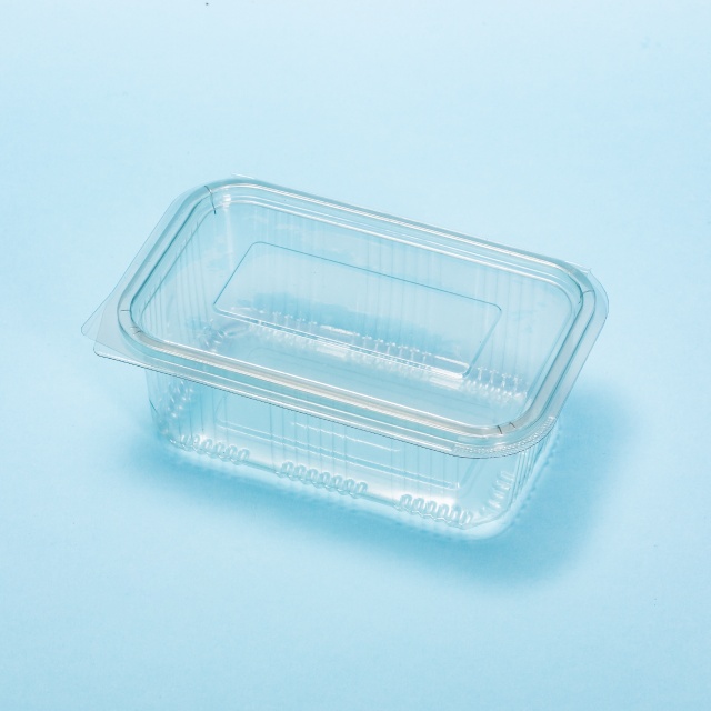 Caserolă din plastic 1000 g