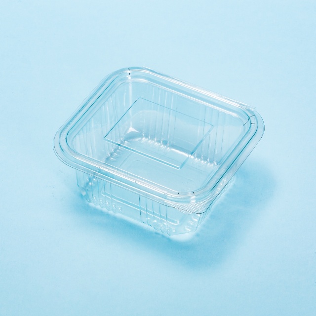 Caserolă din plastic 500 g